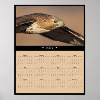 Calendrier mural 2027 Buse à queue rousse - Raptor