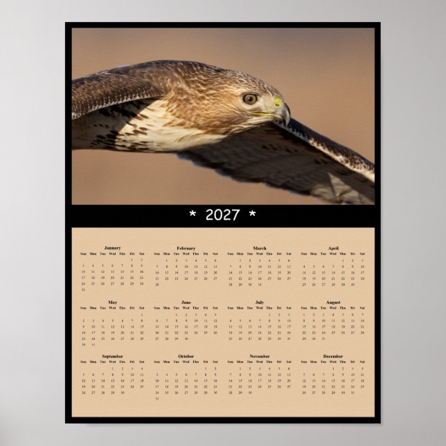 Affiche Calendrier mural 2027 Buse à queue rousse - Raptor (Devant)