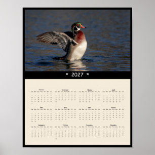 Affiche Calendrier mural 2027 Canard branchu - Canard mâle