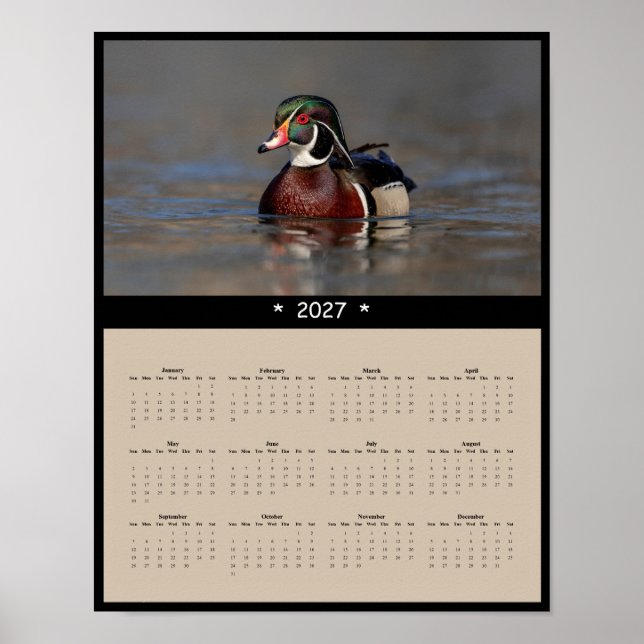 Affiche Calendrier mural 2027 Canard branchu - Nature Oise (Devant)