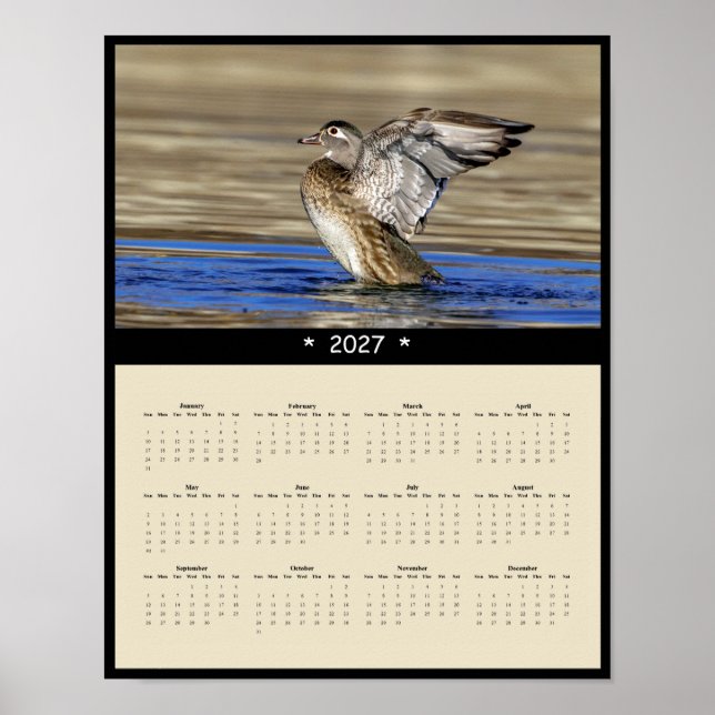 Affiche Calendrier mural 2027 Canard branchu - Photos de f (Devant)