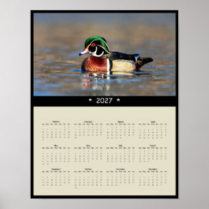 Affiche Calendrier mural 2027 Canard branchu - Plumage vib