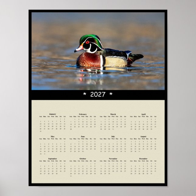 Affiche Calendrier mural 2027 Canard branchu - Plumage vib (Devant)