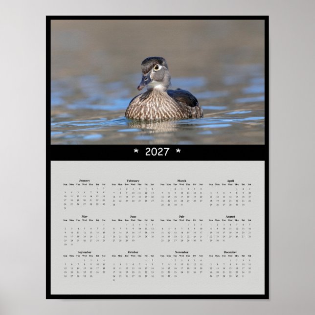 Affiche Calendrier mural 2027 Canard branchu - Sauvagine c (Devant)