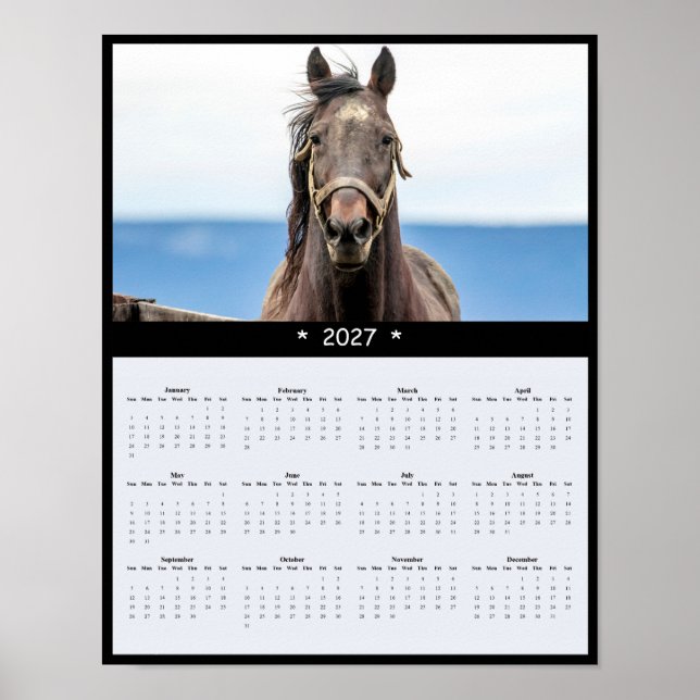 Affiche Calendrier mural 2027 Cheval - Equine Majestueux (Devant)