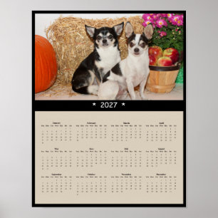 Affiche Calendrier mural 2027 Chihuahua - Compagnon minusc