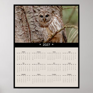 Affiche Calendrier Mural 2027 Chouette Barree - Échos de l