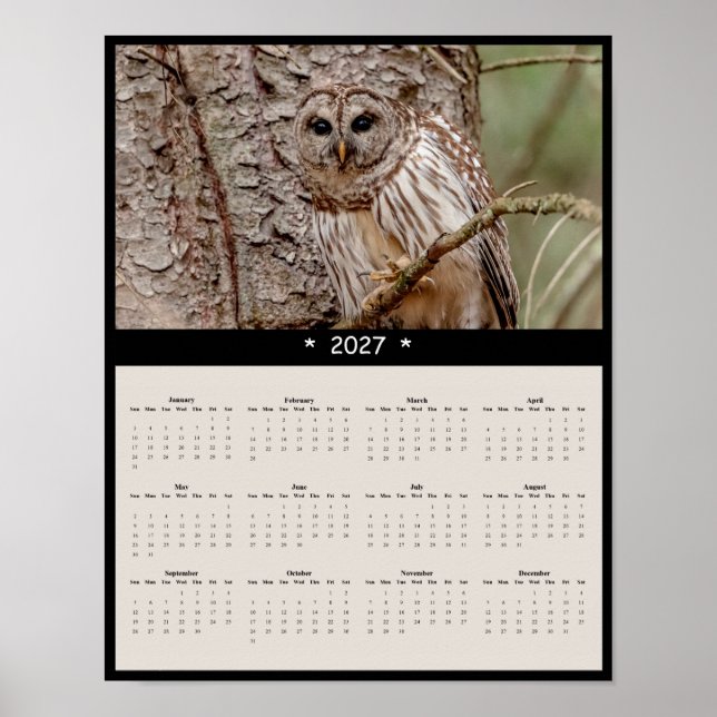 Affiche Calendrier Mural 2027 Chouette Barree - Échos de l (Devant)