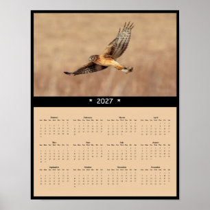 Affiche Calendrier mural 2027 de la Busard Saint-Martin - 