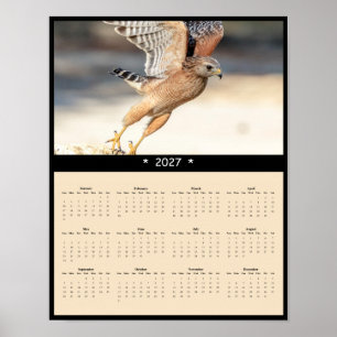 Affiche Calendrier mural 2027 de la Buse à épaulettes imma