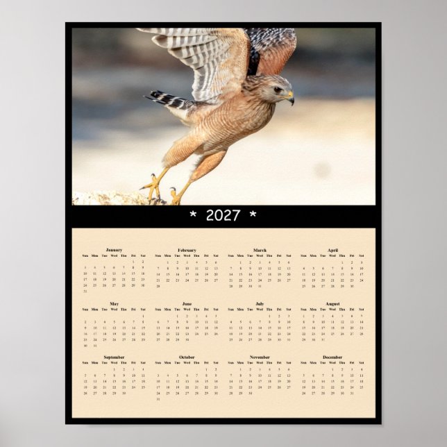 Affiche Calendrier mural 2027 de la Buse à épaulettes imma (Devant)