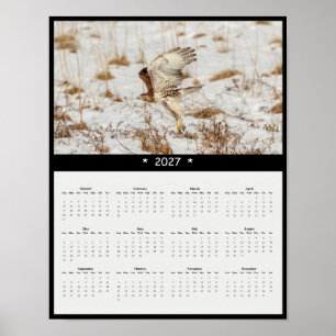 Affiche Calendrier mural 2027 de la Buse à queue rousse - 
