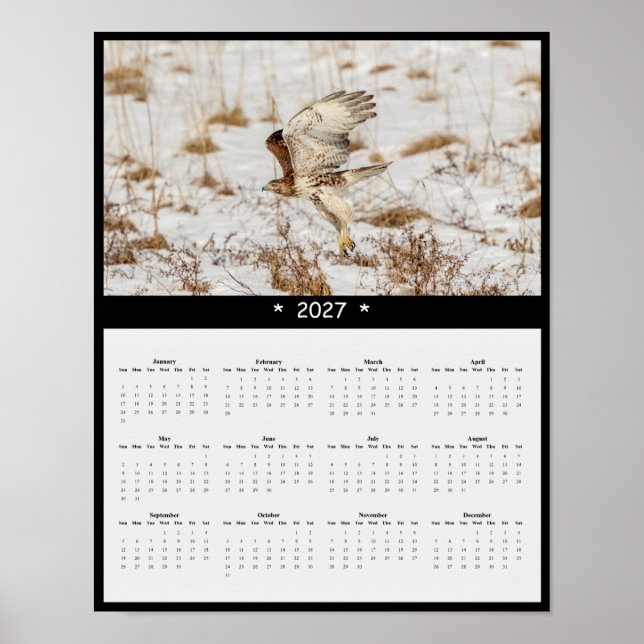 Affiche Calendrier mural 2027 de la Buse à queue rousse -  (Devant)