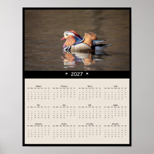 Affiche Calendrier mural 2027 de la Canard mandarin - Faun