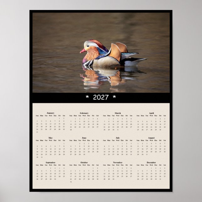Affiche Calendrier mural 2027 de la Canard mandarin - Faun (Devant)