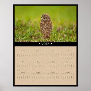 Affiche Calendrier mural 2027 de la chouette des terriers