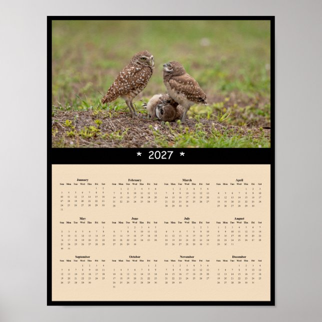 Affiche Calendrier mural 2027 de la chouette des terriers  (Devant)