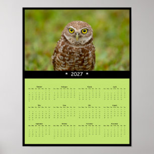 Affiche Calendrier mural 2027 de la chouette des terriers