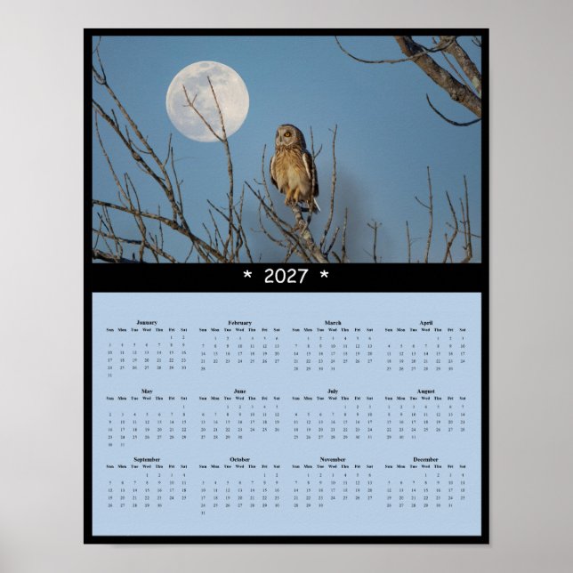 Affiche Calendrier mural 2027 de la chouette effraie - Pra (Devant)
