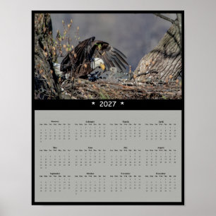 Affiche Calendrier mural 2027 de l'Aigle américain - Gardi