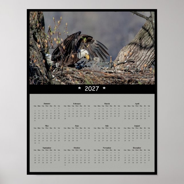 Affiche Calendrier mural 2027 de l'Aigle américain - Gardi (Devant)