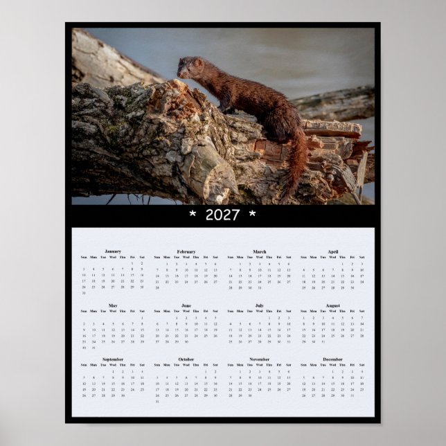 Affiche Calendrier mural 2027 de vison d'Amérique - Faune (Devant)