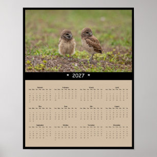 Affiche Calendrier mural 2027 des hiboux terriers - Famill