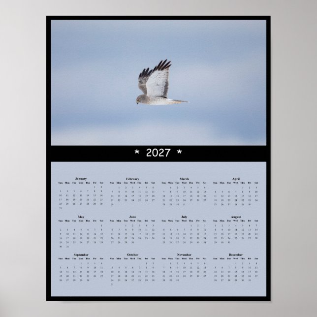 Affiche Calendrier mural 2027 du Busard Saint-Martin Silen (Devant)