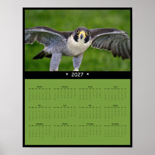 Affiche Calendrier mural 2027 du faucon pèlerin