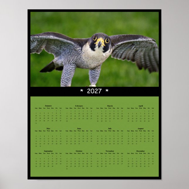 Affiche Calendrier mural 2027 du faucon pèlerin (Devant)