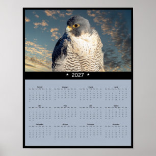 Affiche Calendrier mural 2027 du faucon pèlerin