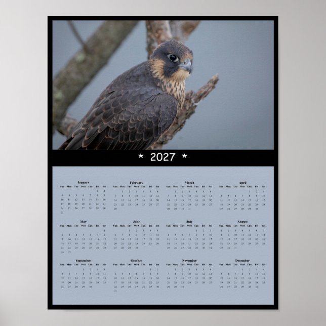 Affiche Calendrier mural 2027 du faucon pèlerin (Devant)
