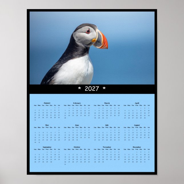 Affiche Calendrier mural 2027 du Macareux atlantique dans  (Devant)