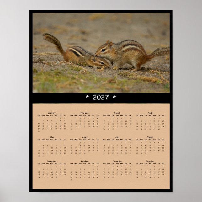 Affiche Calendrier mural 2027 Écureuil rayé - Observateur  (Devant)