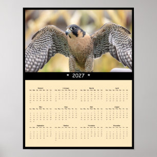Affiche Calendrier mural 2027 Faucon pèlerin - Chasseur du