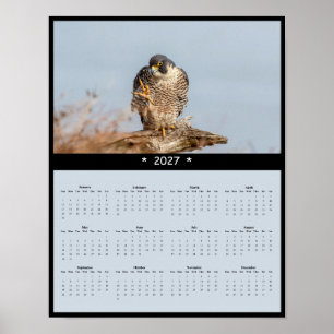 Affiche Calendrier mural 2027 Faucon pèlerin - Speed Maste