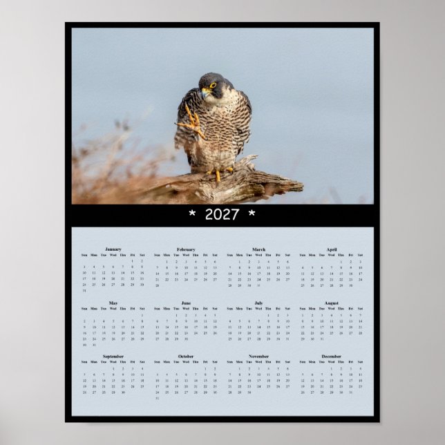Affiche Calendrier mural 2027 Faucon pèlerin - Speed Maste (Devant)