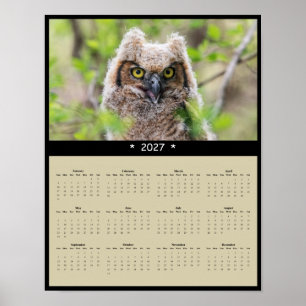 Affiche Calendrier Mural 2027 Grand-duc d'Amérique : Gardi