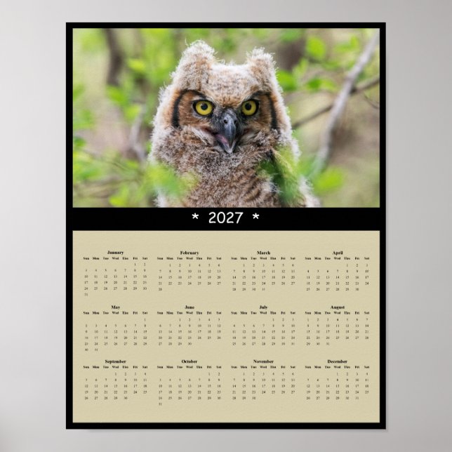 Affiche Calendrier Mural 2027 Grand-duc d'Amérique : Gardi (Devant)
