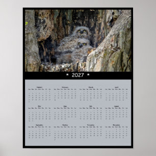 Affiche Calendrier Mural 2027 Grand-duc d'Amérique : Roi d