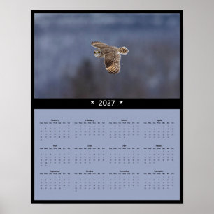 Affiche Calendrier Mural 2027 Hibou des Marais - Chasse au