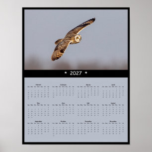 Affiche Calendrier Mural 2027 Hibou des Marais : Vol de la