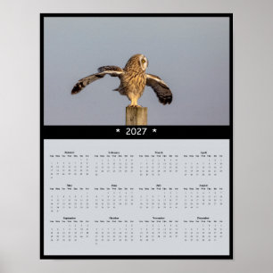 Affiche Calendrier Mural 2027 Hibou des Marais - Vol Silen