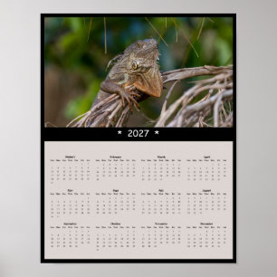 Affiche Calendrier mural 2027 Iguane - Faune de Floride
