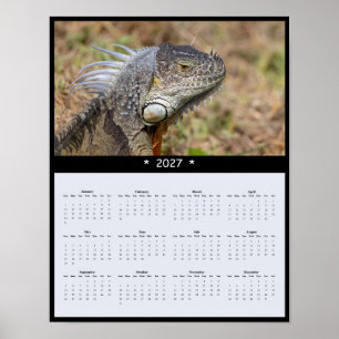 Affiche Calendrier mural 2027 Iguane - Reptiles tropicaux