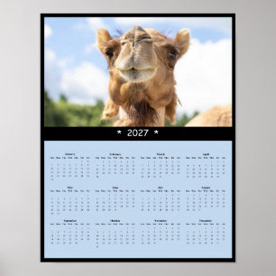 Affiche Calendrier Mural Chameau 2027 - Voyage dans le Dés