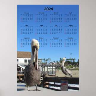 Affiche Calendrier - Pélicans sur la Jetée 2024
