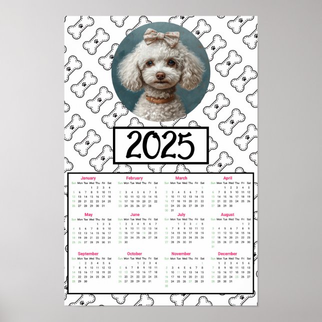 Affiche Calendrier Poodle and Bones 2025 (Devant)