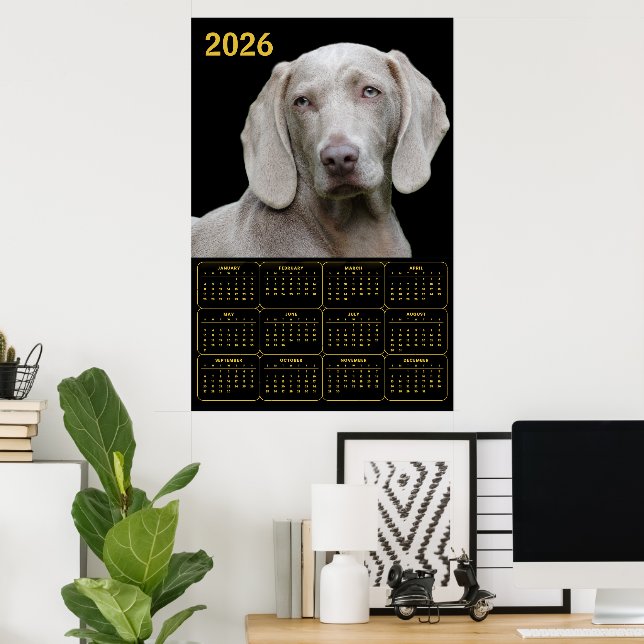 Affiche Calendrier Weimaraner 2026 (Bureau à domicile)