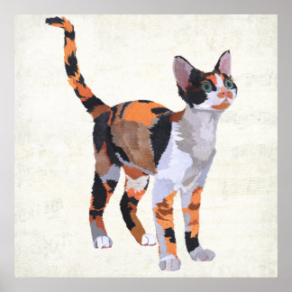 AFFICHE CALICO CAT